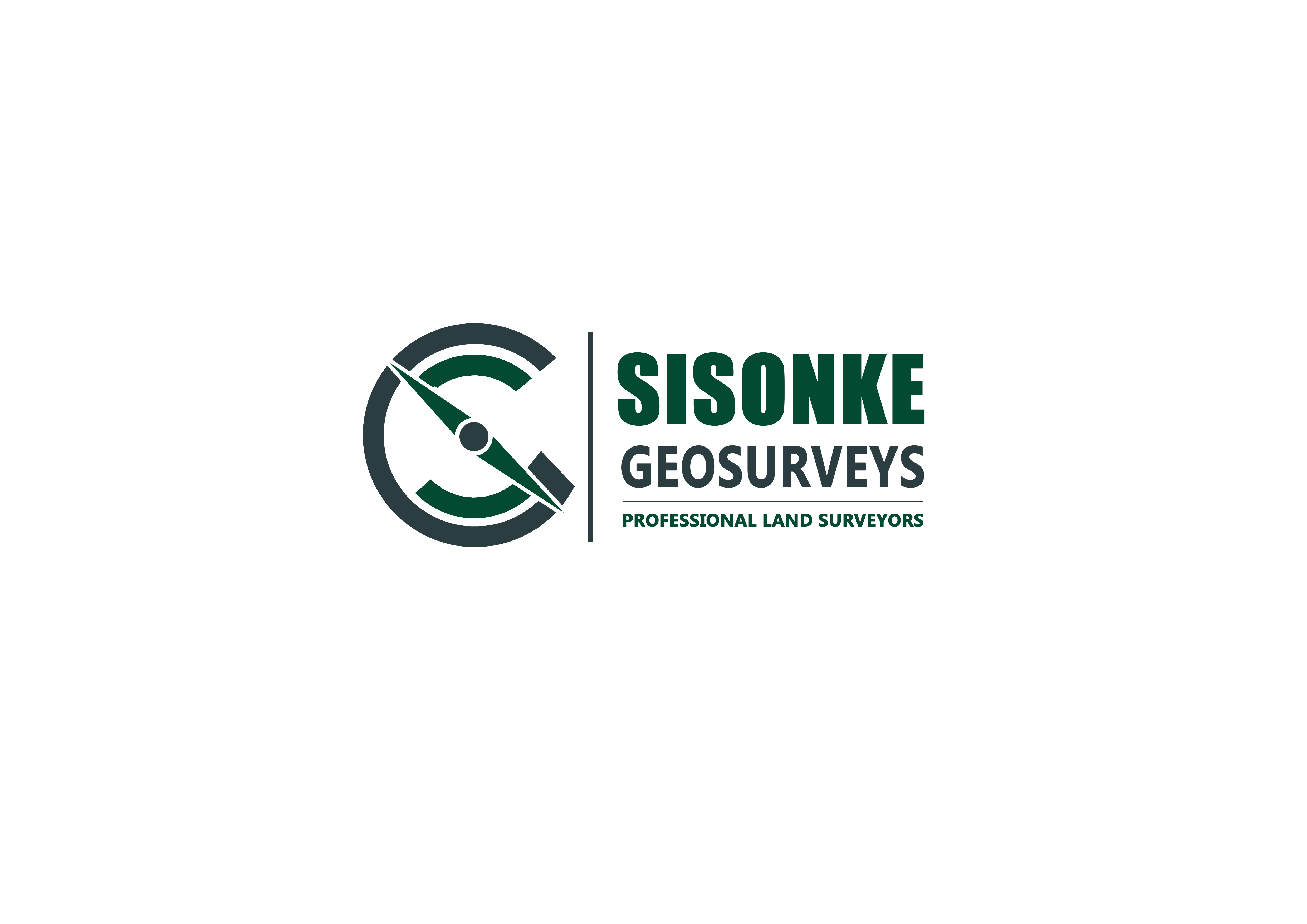 GEOSURVEYS1